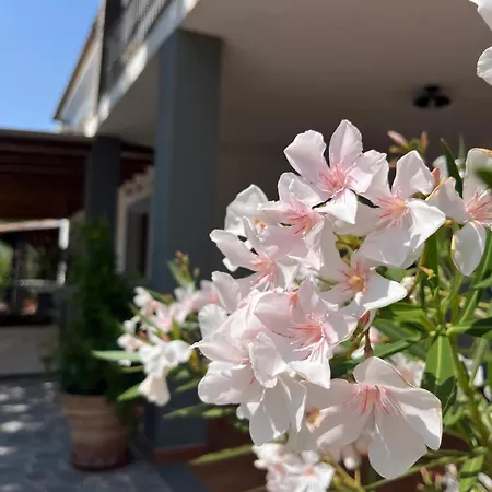 Residenza Di Campagna Dolmen Motorra منزل ريفي