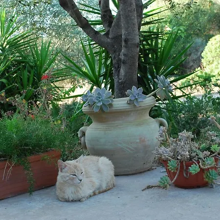 Residenza Di Campagna Dolmen Motorra