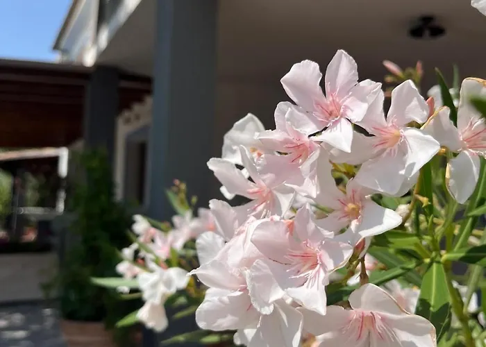 Residenza Di Campagna Dolmen Motorra Country house